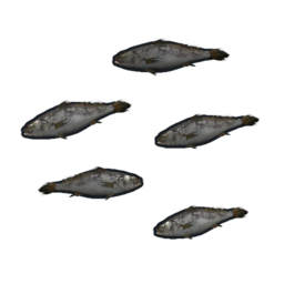 Мальки